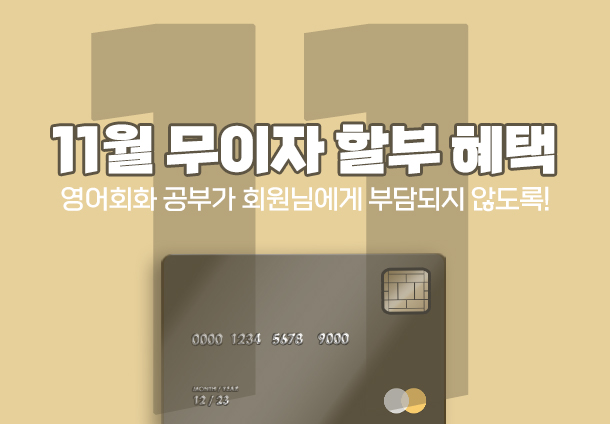 11월 무이자 할부