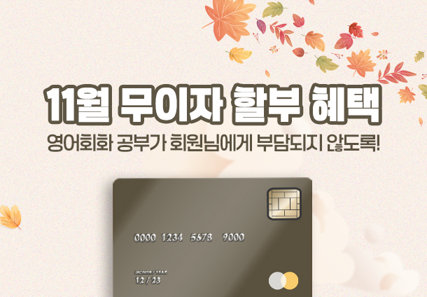 11월 무이자 할부